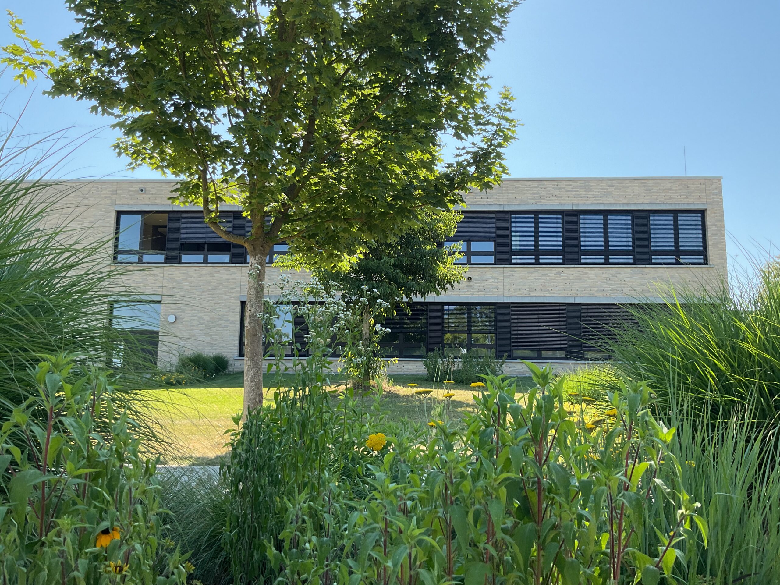 Schulgebäude