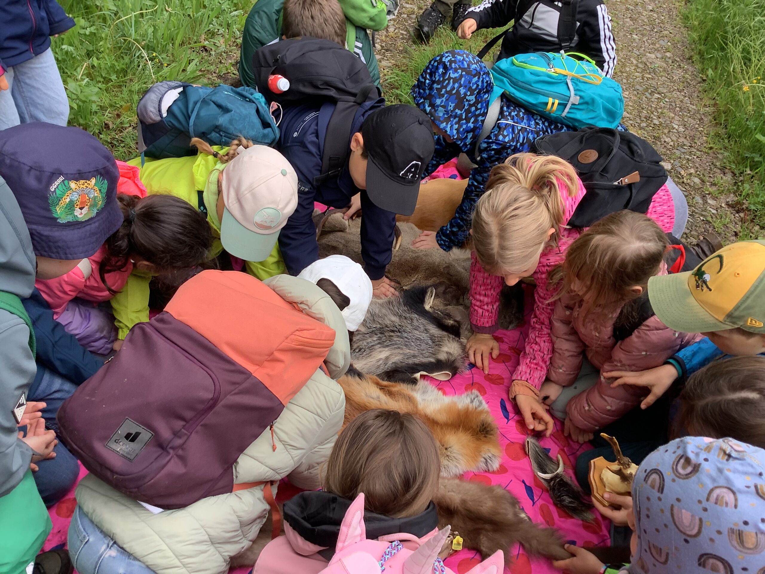Kinder mit Rucksäcken bei einem Ausflug im grünen . Auf einer Decke liegen mehrere Felle die begutachtet und angefasst werden.